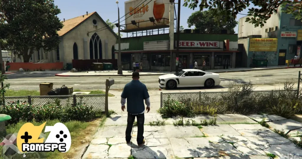 Grand Theft Auto V Features