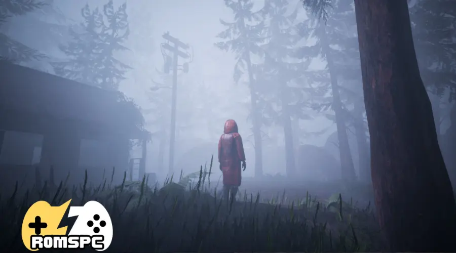 What is Veil of the Skies?